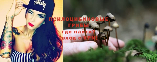 сатива Абдулино