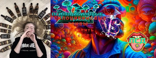 сатива Осташков
