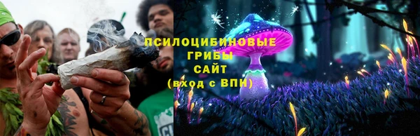 сатива Осташков